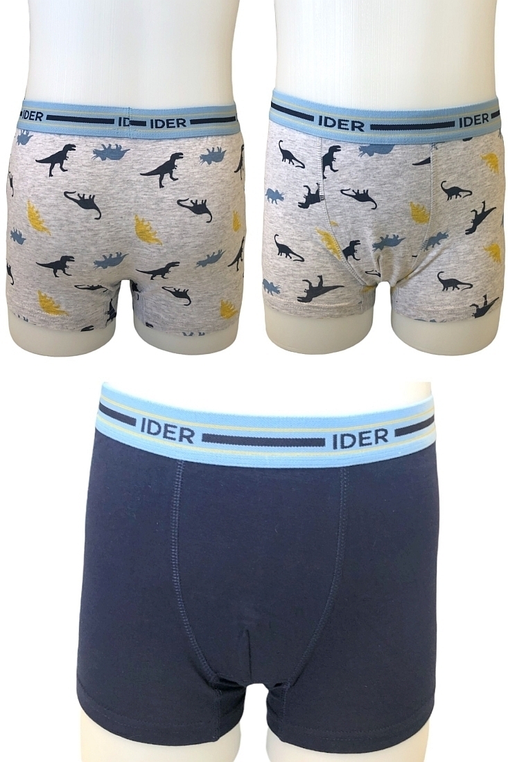 2-PACK ΑΓΟΡΙΣΤΙΚΟ BOXER ΒΑΜΒΑΚΕΡΟ ΜΕ ΕΞΩΤΕΡΙΚΟ ΛΑΣΤΙΧΟ ΚΑΙ ΣΧΕΔΙΟ ΔΕΙΝΟΣΑΥΡΟΥΣ ΚΑΙ ΜΟΝΟΧΡΩΜΟ