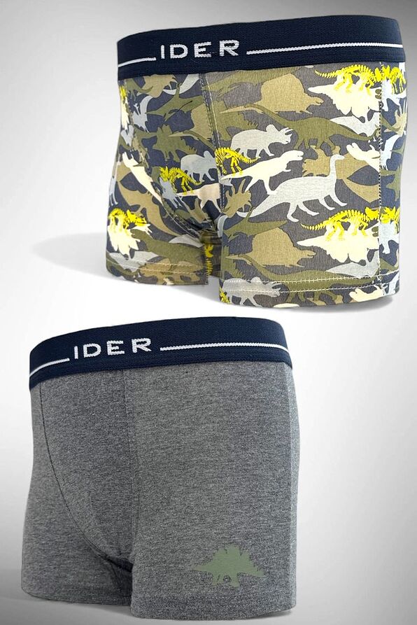 2-PACK BOY ELASTIC COTTON BOXER WITH EXTERNAL WAISTBAND AND DINOSAURS PRINT