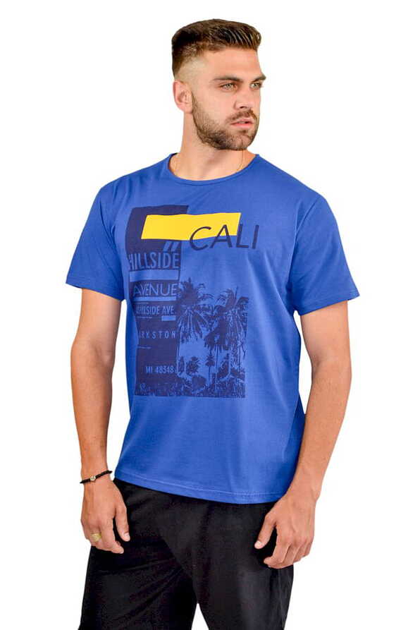 ΑΝΔΡΙΚΟ ΒΑΜΒΑΚΕΡΟ T-SHIRT ΜΕ ΤΥΠΩΜΑ ΦΟΙΝΙΚΕΣ
